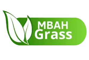 jual rumput sintetis